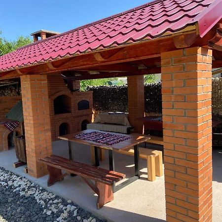 Pensiunea Montana Săpînţa Exteriör bild