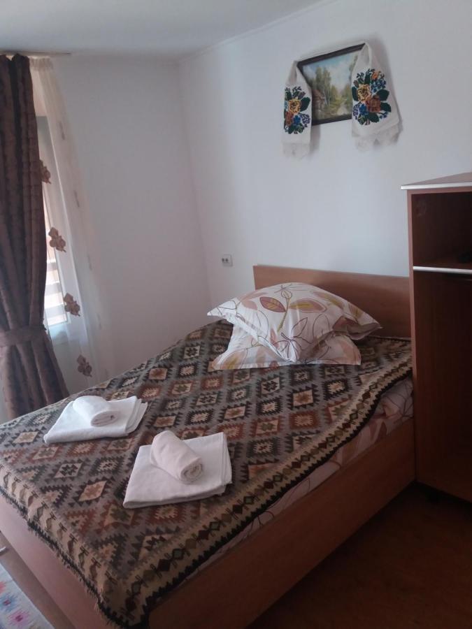 Pensiunea Montana Săpînţa Exteriör bild