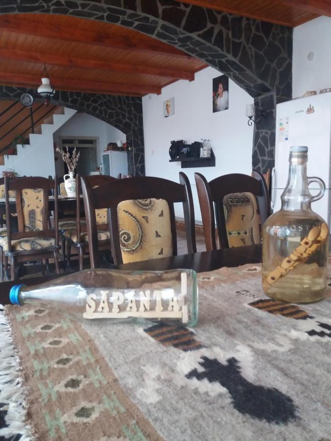 Pensiunea Montana Săpînţa Exteriör bild