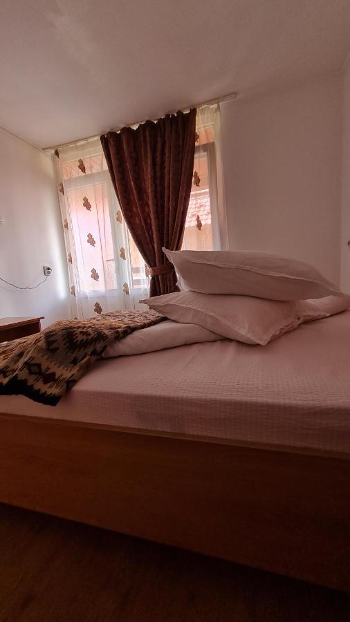 Pensiunea Montana Săpînţa Exteriör bild