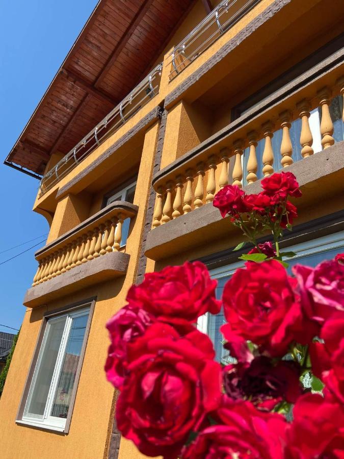 Pensiunea Montana Săpînţa Exteriör bild