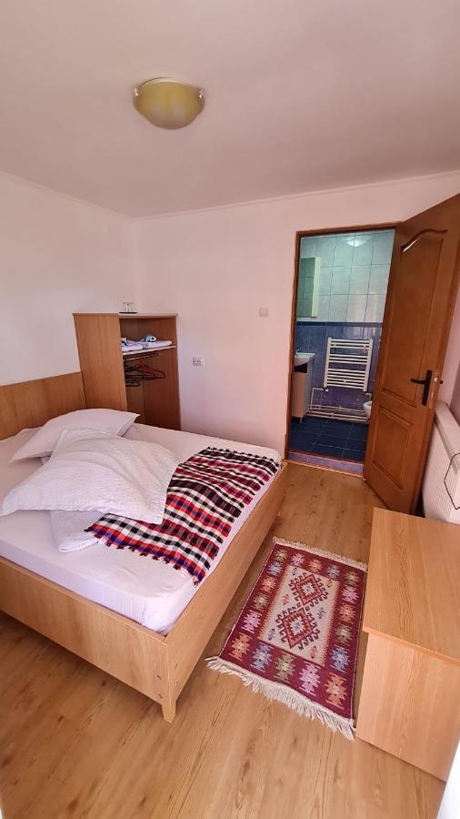Pensiunea Montana Săpînţa Exteriör bild