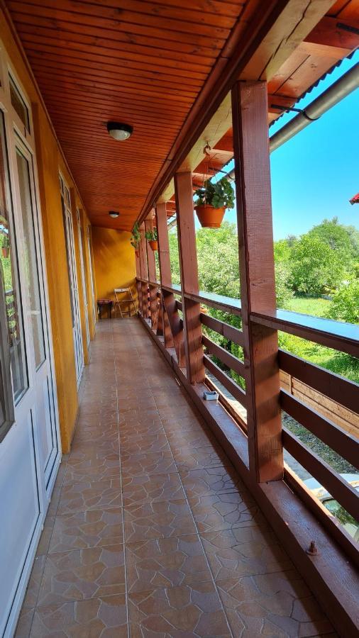 Pensiunea Montana Săpînţa Exteriör bild