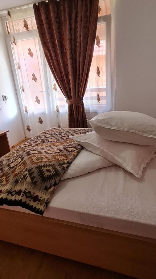 Pensiunea Montana Săpînţa Exteriör bild