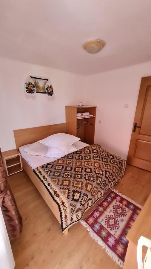 Pensiunea Montana Săpînţa Exteriör bild